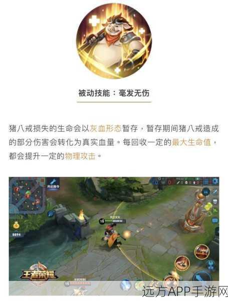 王者荣耀猪八戒深度解析,技能连招与实战属性揭秘