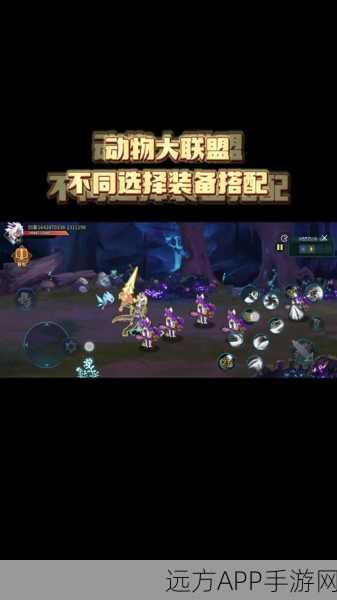 剑豪崛起!动物大联盟60级顶尖装备搭配深度解析与实战技巧