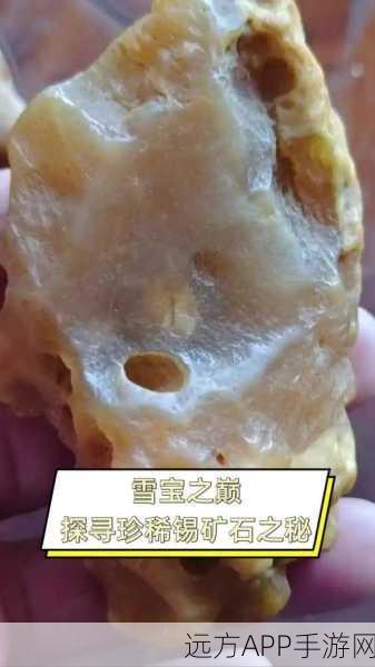 冰原守卫者锡矿探寻指南，解锁隐藏矿脉，打造顶级装备！