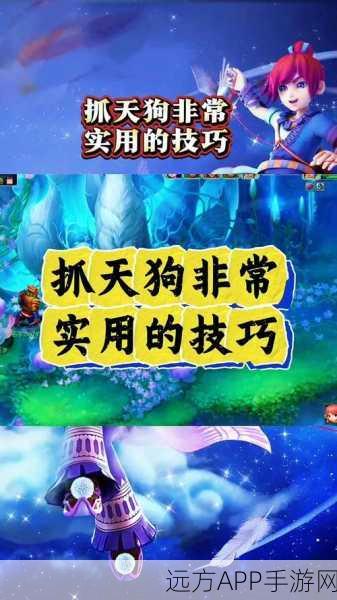 梦幻西游手游,宠物天兵加点攻略,打造战斗神宠的秘诀!