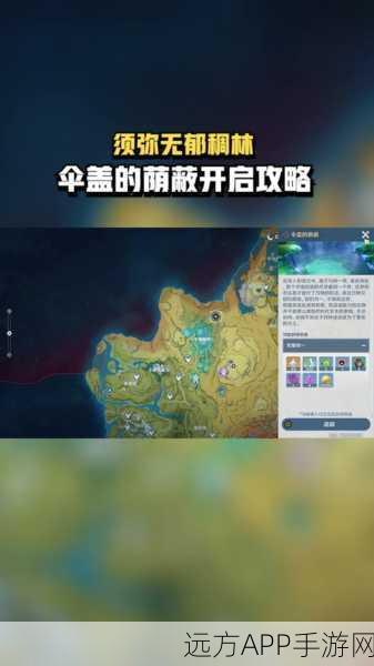 原神无郁稠林华丽宝箱解锁攻略，揭秘隐藏挑战与丰厚奖励