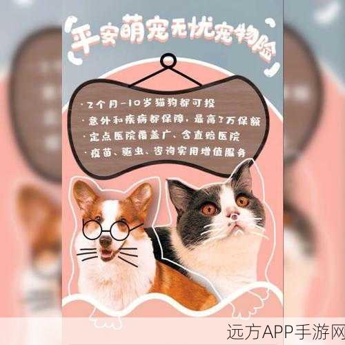 阴阳师珍稀大熊猫宠物获取全攻略，萌宠相伴，探险无忧