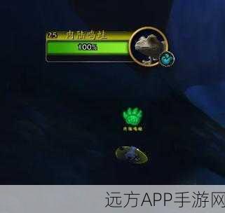 魔兽世界小宠物快速升级攻略,打造你的宠物战斗精英