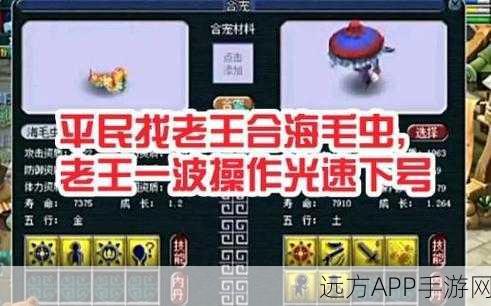 梦幻西游深度解析,海毛虫套装效果全揭秘及实战应用