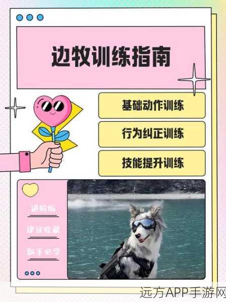 边境之旅，全面解析职业转换秘籍，轻松开启新旅程！