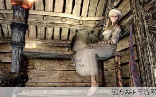 手游巨献,上古卷轴5深度揭秘——掌握附魔艺术的终极奥义!