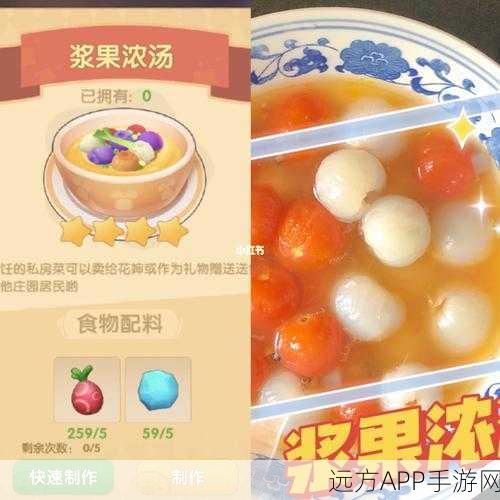 摩尔庄园美食大赛，揭秘蓝莓七彩汤夺冠秘籍