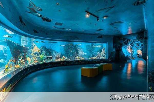 妄想山海鱼缸革新亮相，美学设计大赛引爆潮流，独特鱼缸成新宠