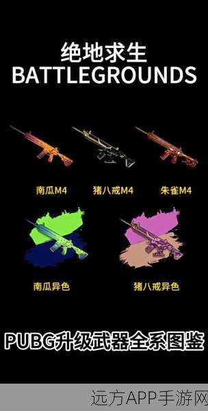 和平精英武器全解析,掌握战场利器,称霸吃鸡战场