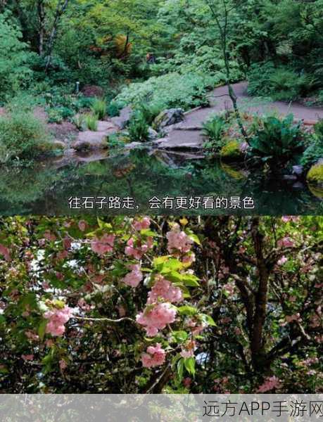重生细胞探险指南,揭秘植物园隐藏入口与攻略