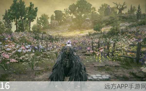 艾尔登法环DLC黄金树幽影价格、渠道全揭秘，独家优惠大放送！