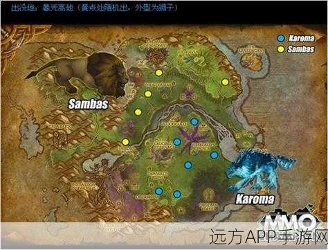 魔兽世界，卡洛玛追踪秘籍，解锁稀有宠物捕捉全攻略