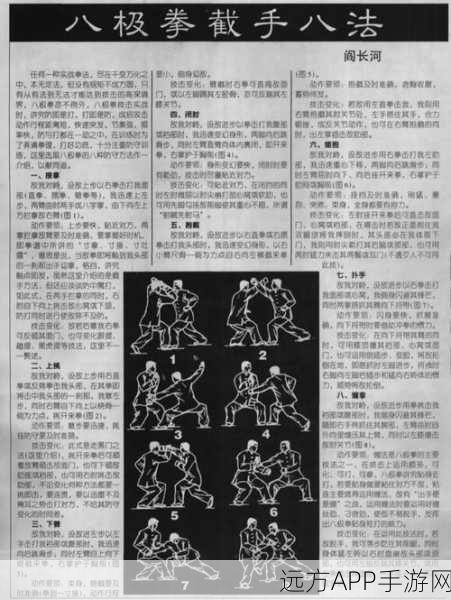 火影格斗高手速成秘籍,揭秘快速升级与竞技技巧