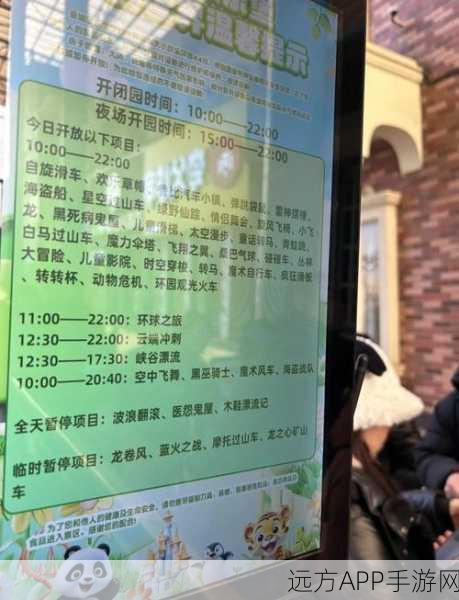 梦幻花园，璀璨烟花比赛全攻略，点燃你的夏日激情！