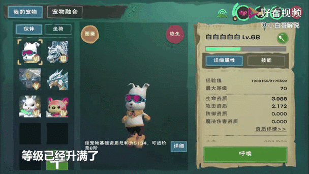 皎晶白虎获取攻略，解锁创造与魔法珍稀宠物的秘密