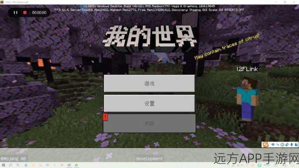 揭秘!‘我的世界启动器’与‘我的世界’有何不同?