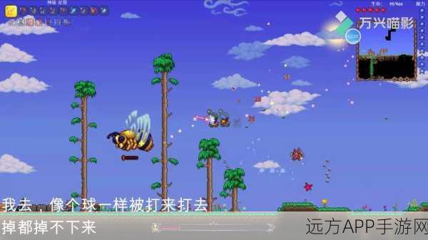 泰拉瑞亚蜂后挑战赛，极限生存，你敢应战吗？