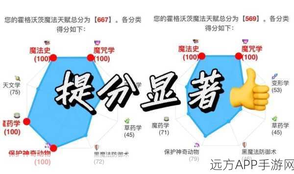 哈利波特魔法觉醒,深度解析魔药制作,角逐药剂大师荣耀赛