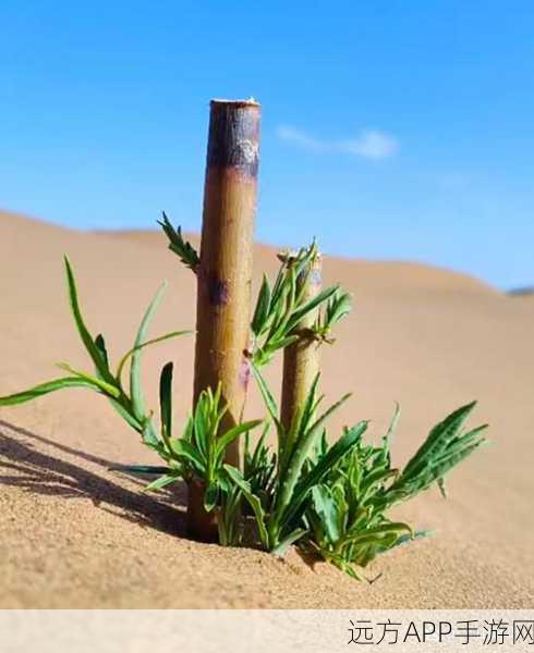 手机版饥荒,掌握树苗种植技巧,打造绿意盎然的生存世界