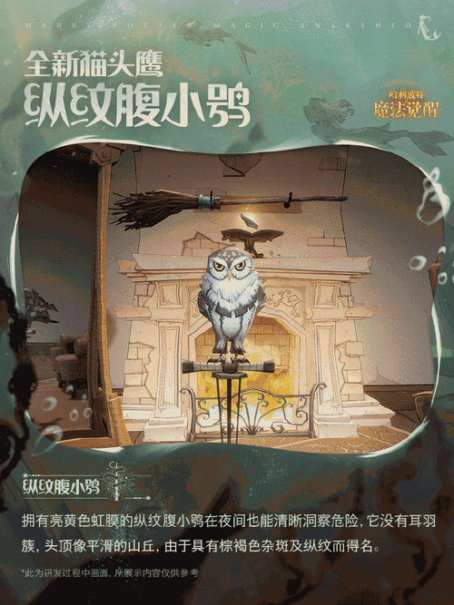 哈利波特手游,揭秘雪鸮护身奥秘,探索魔法觉醒的终极力量