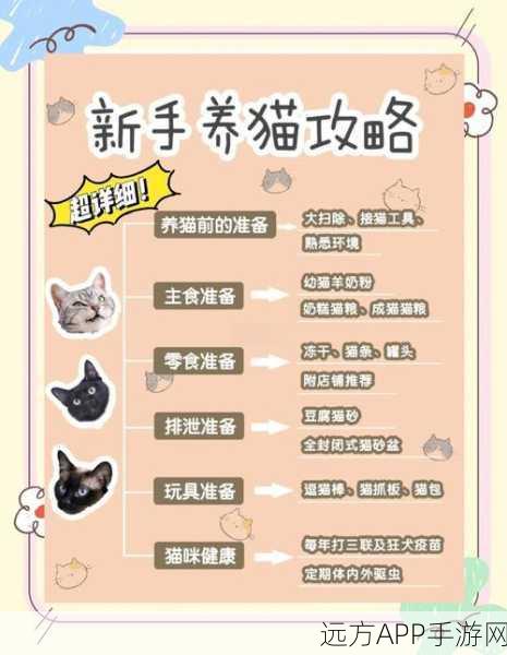 萌宠解压新选择，解压猫咪休闲养成游戏深度解析