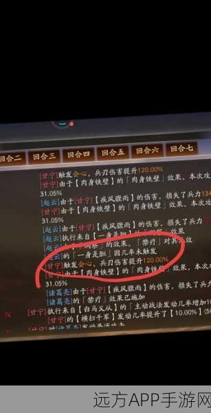 赵云战法深度剖析,三国志手游战术搭配秘籍