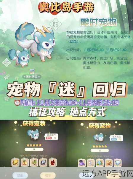 奥比岛手游深度解析，宠物系统解锁等级及玩法全揭秘