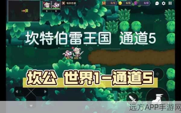 坎公骑冠剑顶尖输出神器搭配秘籍，解锁极致战斗效能