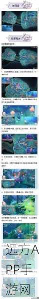 原神探索揭秘,解锁无名小岛隐藏任务的终极指南