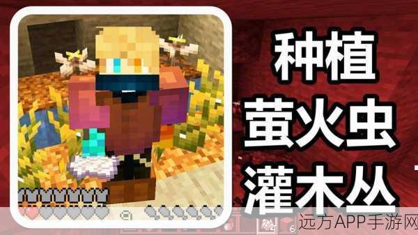 火焰解说揭秘,我的世界7509版本,一键切换创造与生存模式新体验