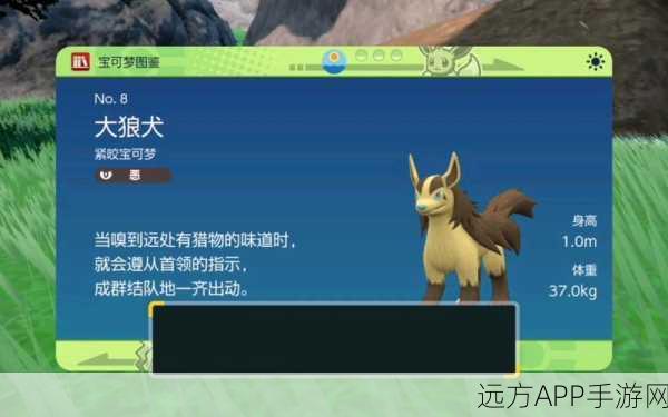 口袋妖怪复刻，大狼犬属性深度剖析与竞技实战解析