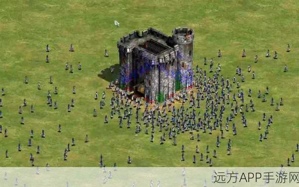帝国时代2深度攻略，揭秘隐藏单位与资源，加速你的征服之路