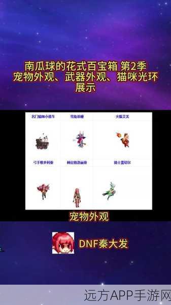 DNF手游宠物装备深度解析,打造专属萌宠,饰品与宝珠搭配秘籍