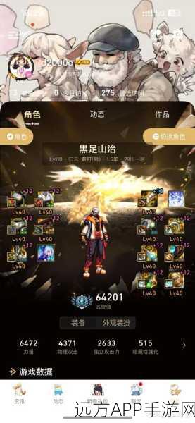 乌鸡职业爆发指南,DNF乌鸡勇者装备精选策略,解锁极致输出
