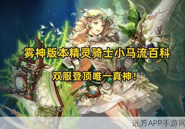 精灵骑士荣耀之路,DNF骑士养成攻略