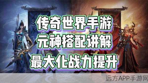 传奇世界攻略,全面解析元神体魄提升之道