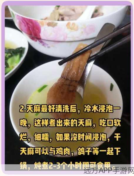 手游凌云诺美食攻略,解锁天麻红枣鸡汤的完美配方