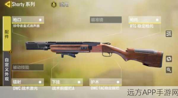 使命召唤Shorty枪械深度解析，战场上的短距离杀手