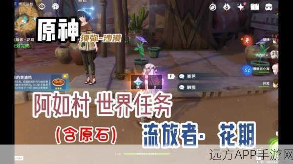 原神须弥阿如村NPC对话奖励全揭秘,深度攻略与隐藏福利挖掘
