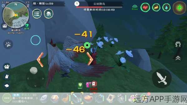 探秘创造与魔法，云鸟必刷点刷新时间全攻略，解锁神秘宝藏新篇章