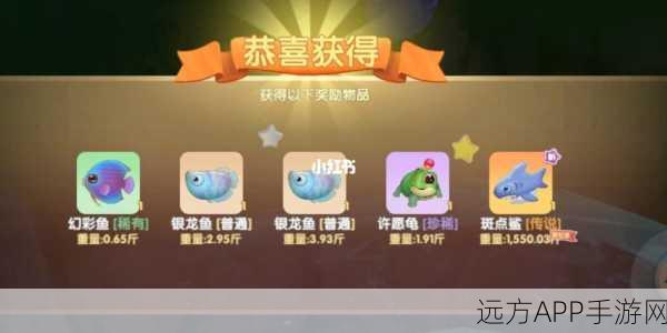 摩尔庄园手游，揭秘鲨鱼刷新规律与黄金捕捉点