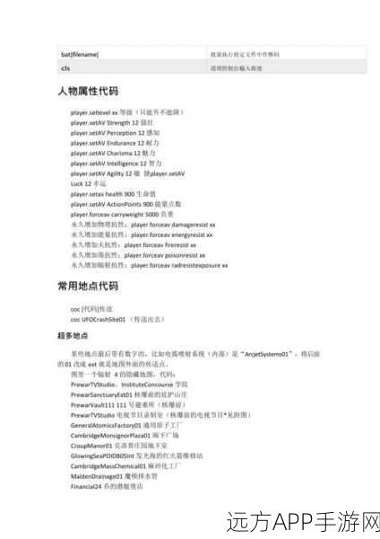辐射4玩家必备,全面解析负重指令代码与修改技巧