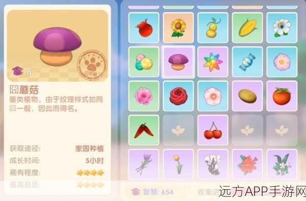 摩尔庄园手游，囧蘑菇（囧菇）获取全攻略，解锁隐藏乐趣！