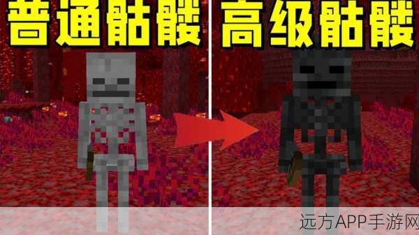 我的世界高效攻略，轻松斩杀凋灵骷髅的绝妙技巧