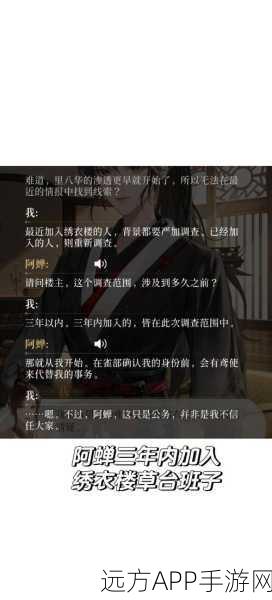 争议焦点，代号鸢归属何方？乙女游戏身份深度剖析