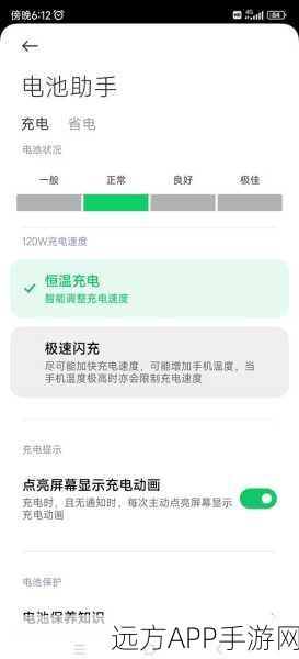 手游玩家必看！揭秘电池厂工作对健康的潜在影响，游戏时更需关注电池安全