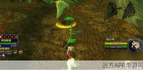 魔兽世界手游新玩法，小动物捕捉大赛全攻略