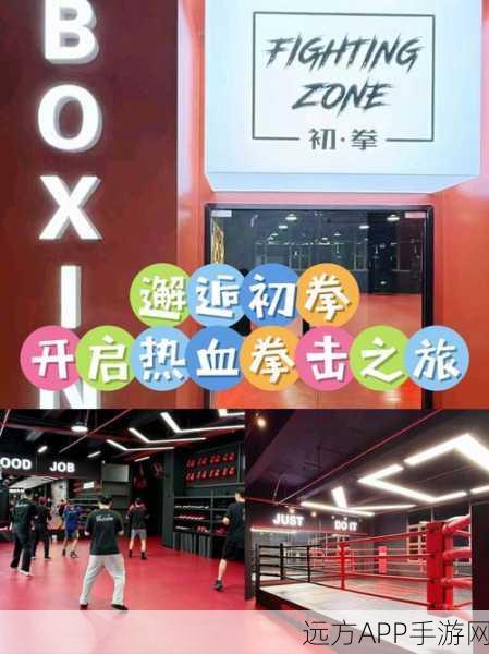 元气拳击MetaFist,挑战无限,轻松闯关的拳击盛宴
