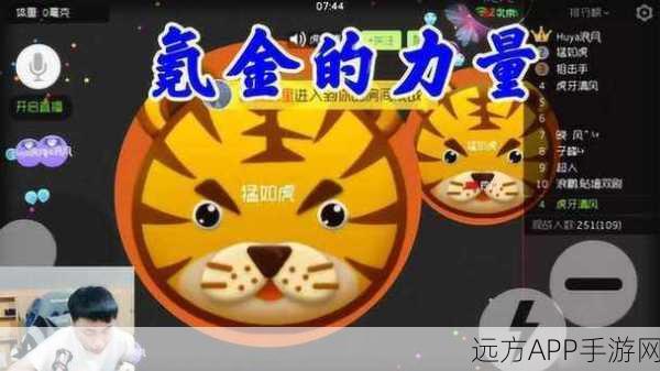球球大作战，小龙女氪金攻略大揭秘，解锁奢华游戏新体验