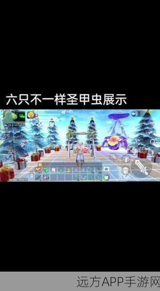圣甲虫解封秘籍，探索创造与魔法尘封之谜